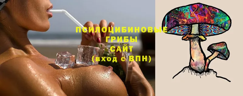 Галлюциногенные грибы ЛСД  Уржум 